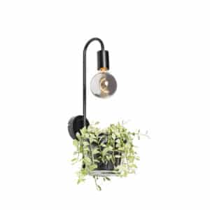 Moderne Wandlampe schwarz mit Glas - Roslini