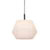 Buiten hanglamp zwart met witte kap 45