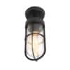 Country Exterior Deckenleuchte schwarz mit Glas IP44 - Elza