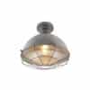 Industrielle Deckenleuchte Antik Silber 32 cm - Kurs